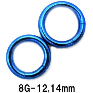 画像1: ＮＩＯＢＬ　ブルーニオビウム　セグメントリング　【８Ｇ】（１２、１４）ｍｍ　★ネコポス翌日３００円